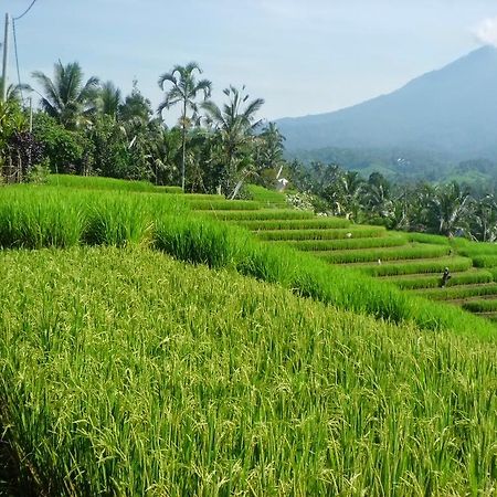 Zen Rooms Badung Nyangnyang Sari Kuta Lombok Exterior foto