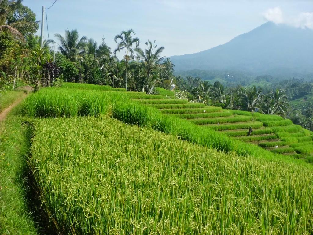 Zen Rooms Badung Nyangnyang Sari Kuta Lombok Exterior foto